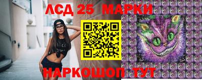 spice Кунгур